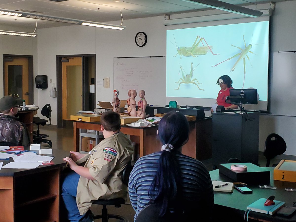 Harris World Ecology Center (@harriscentereco) on Twitter photo This past Saturday was STEM University at UMSL for our local scouts! A few of our biology graduate students and faculty got involved with assisting in the Insect Study merit badge. Special thanks to <a href="/grlwdarwintat/">Becky Hansis-O'Neill</a> for heading up and teaching the course! #scouting #umslbiology This past Saturday was STEM University at UMSL for our local scouts! A few of our biology graduate students and faculty got involved with assisting in the Insect Study merit badge. Special thanks to <a href="/grlwdarwintat/">Becky Hansis-O'Neill</a> for heading up and teaching the course! #scouting #umslbiology