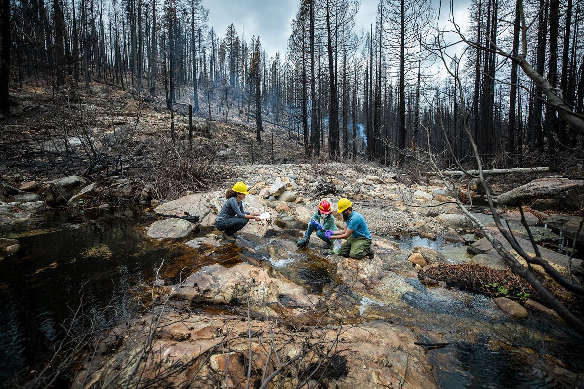 “We want to know what insights we can gain from high and low severity wildfires to maintain forest and water health” - <a href="/eesalbnl/">Earth and Environmental Sciences at Berkeley Lab</a>’s <a href="/HydroNewcomer/">Dr. Michelle Newcomer</a> at her #AGU23 invited talk “Impacts of #Wildfire and #Drought on Watershed Hydrobiogeochemical Resilience”