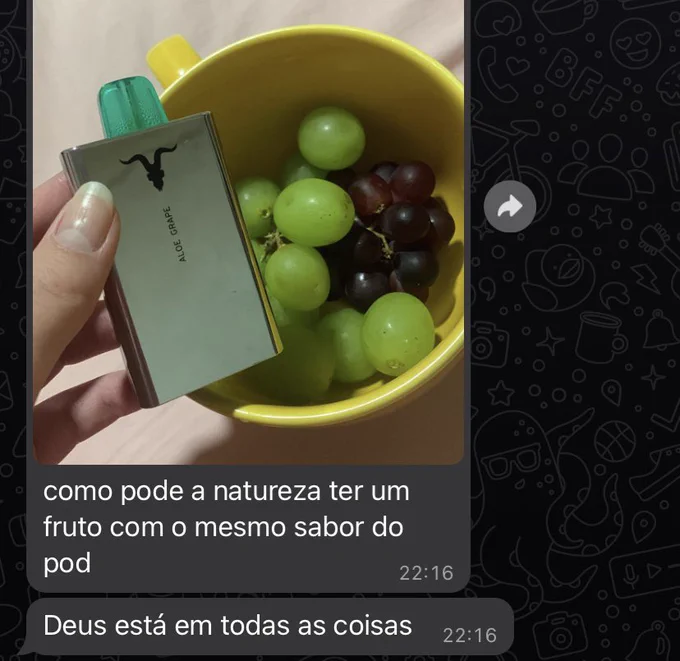 grandes argumentações irrefutáveis tweet media