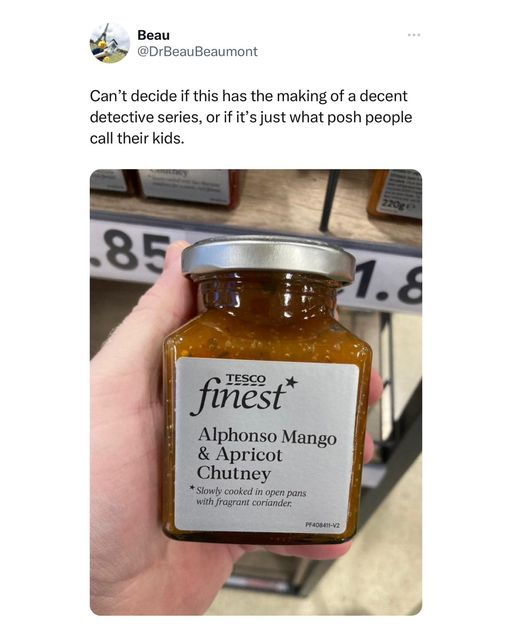 Anyone who has worked in a private school would not bat an eyelid if these kids appeared on the register.

(I have actually taught a girl called Apricot-Marie, which sounds like a dessert but no it's just posh apparently. Also pronounced "Aah-PREE-coh", of course.)

#teaching