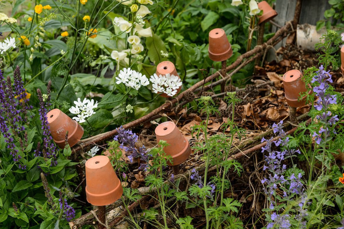 Iceni Sisters WI tweet media