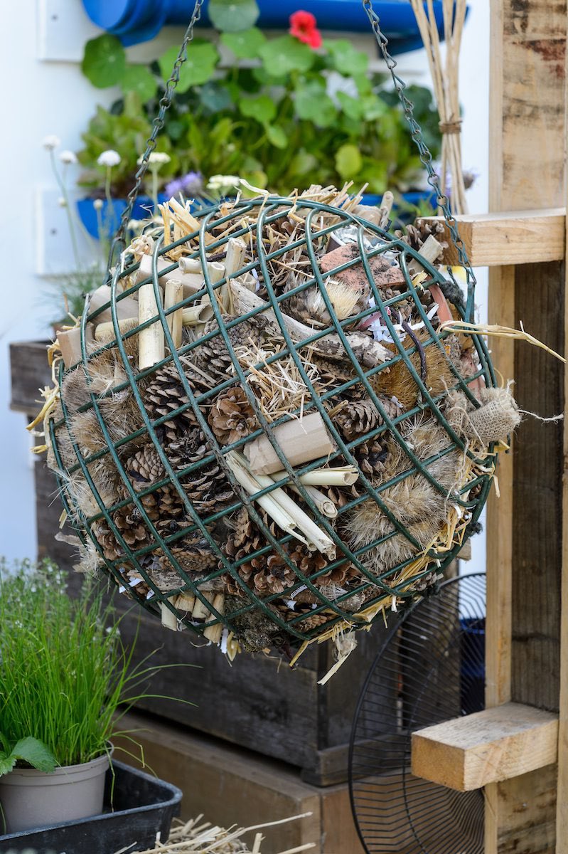 Iceni Sisters WI tweet media