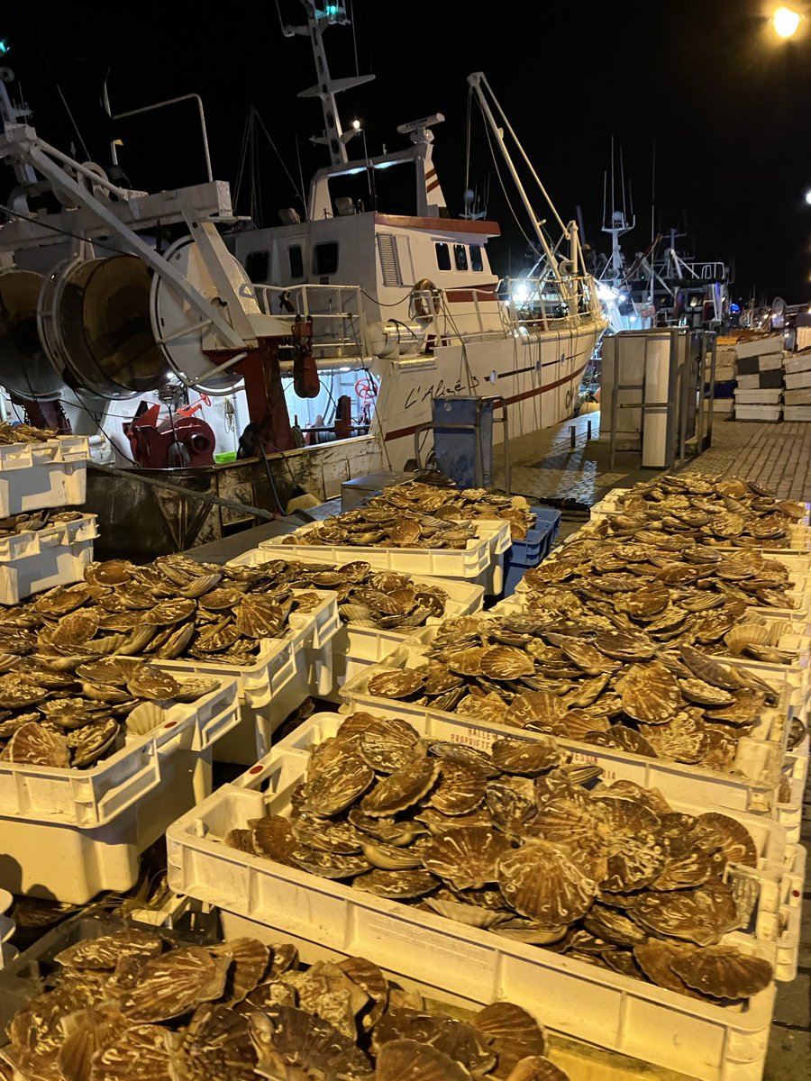 howard thompson tweet media