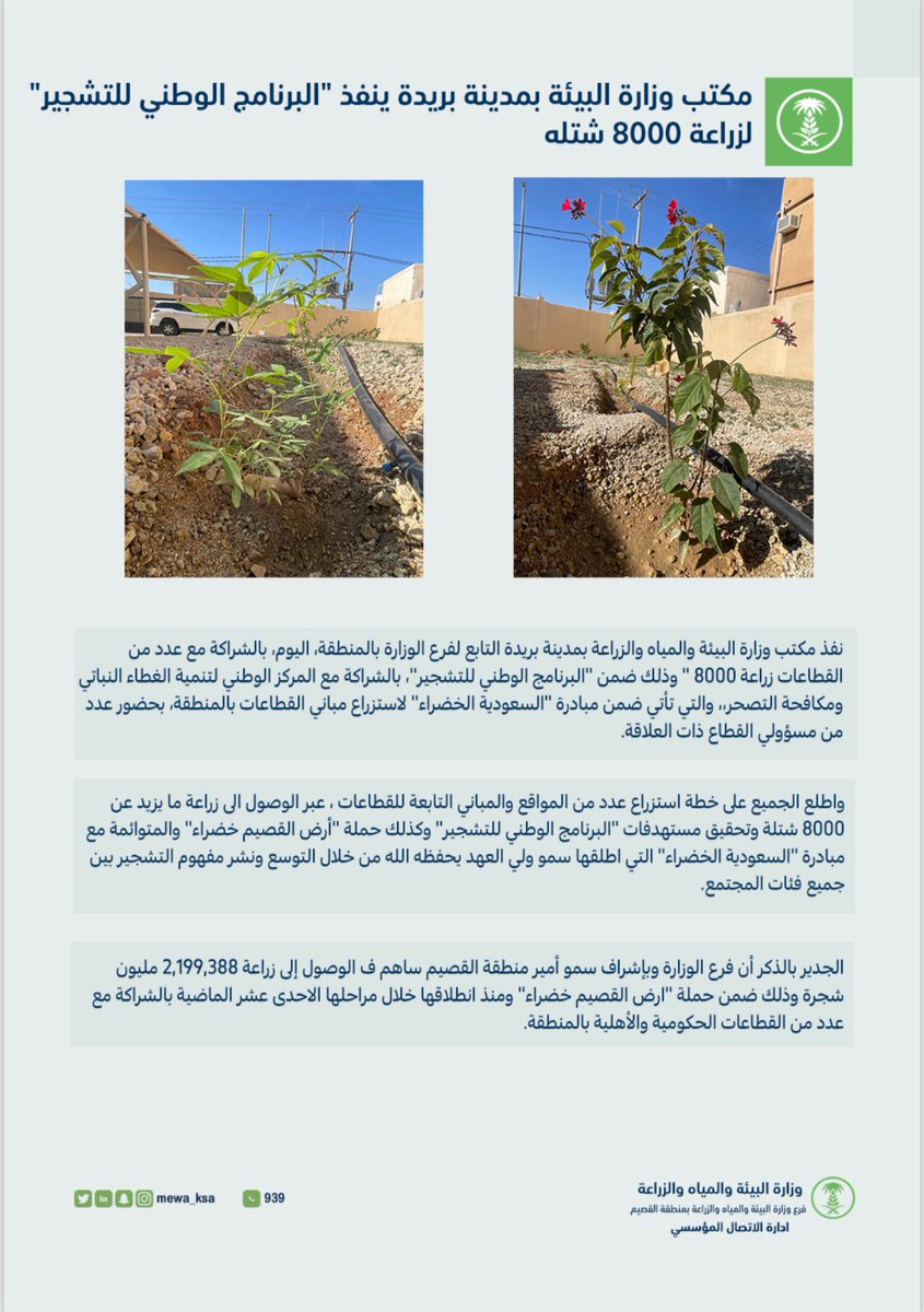 #انفوجرافيك..

مكتب #وزارة_البيئة_والمياه_والزراعة بمدينة #بريدة ينفذ "#البرنامج_الوطني_للتشجير" لزراعة 8000 شتله.