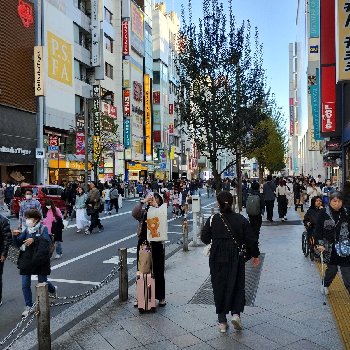 In Japan, a Pedestrian Mall are called a "Walkers’ Paradise."
Three of the most famous ones in Tokyo are in Ginza, Shinjuku and Akihabara.