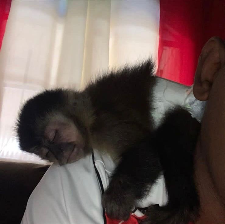 😴😴