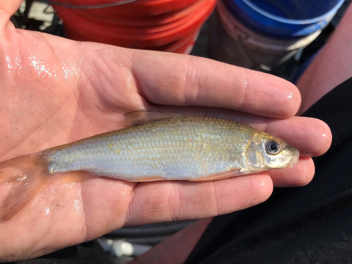 Paul DeRolf tweet media