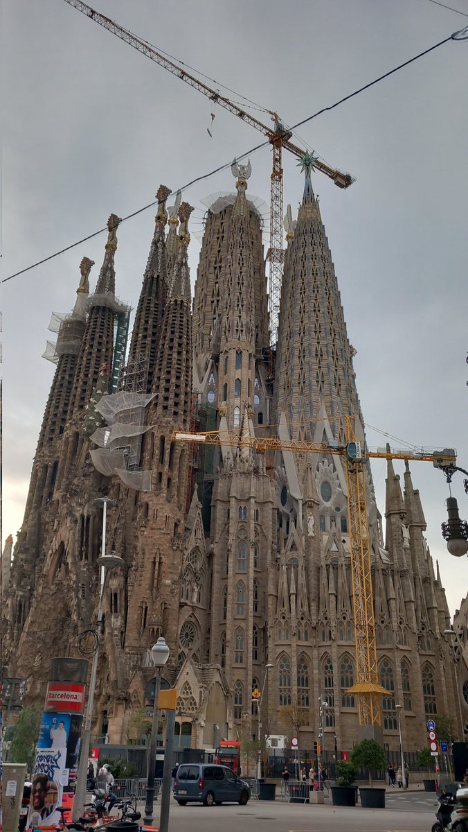 FfionRendall tweet media