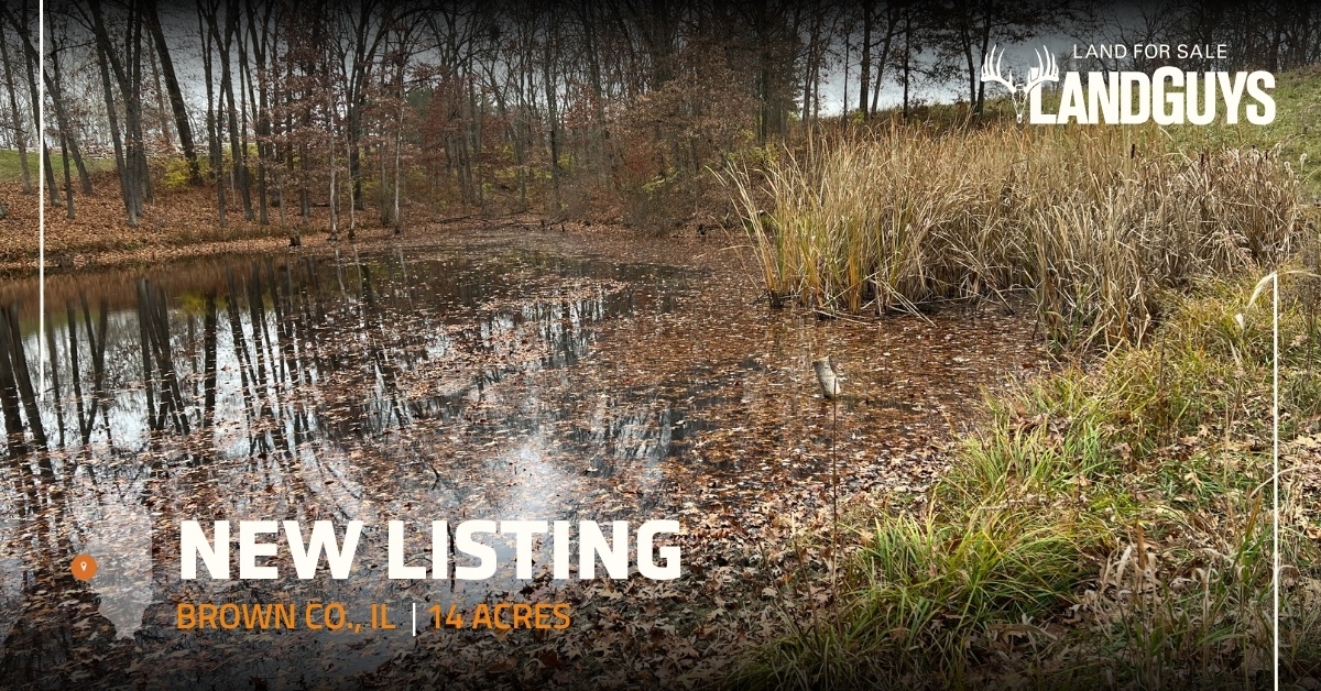 💥New listing!💥 14 acres in Brown County, IL
$175,000 | See more ► landguys.info/browncoillinoi…

Near perfect building site with big bucks out the back door.

#PropertyForSale #RealEstate #Outdoors #Lifestyle #BrownCounty #Tillable #Income #BuildSite #Illinoislandforsale