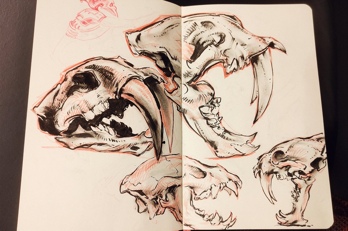 Few more sketches I did the other day💀
#sketch #sketchbook #skull #drawing #art #ink