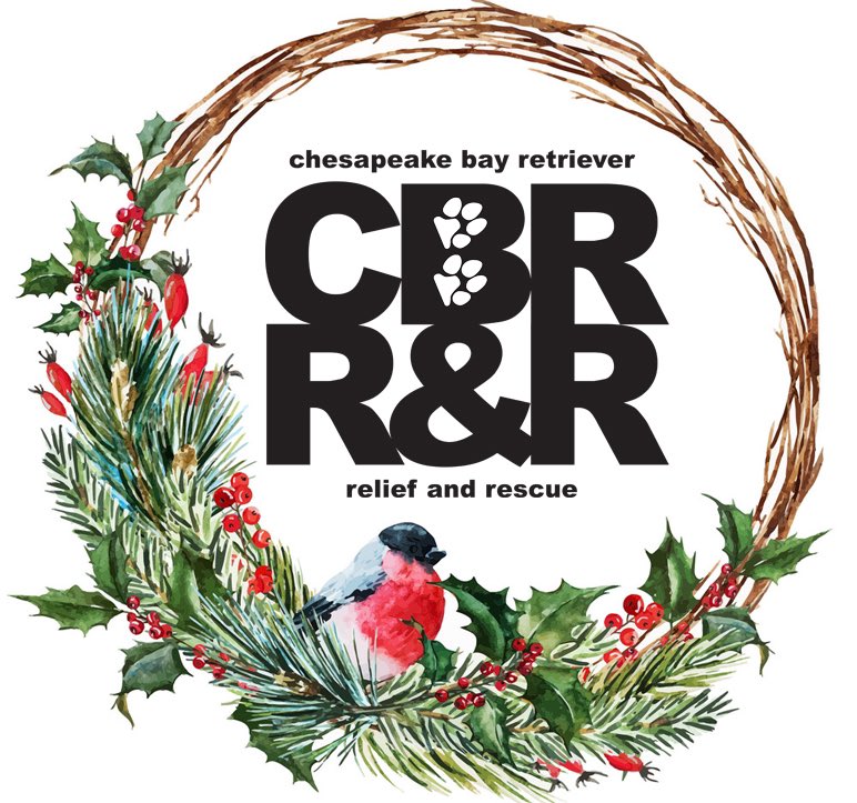 QuincyB458's tweet photo. Ever elusive Chesapeake Bay Retriever Calendars are available through CBRR&amp;R! 

Beautiful photos of Chessies doing Chessie things. It’s our biggest fundraiser of the year. 
https://t.co/Q11brRh4tR https://t.co/iglSskCWAQ