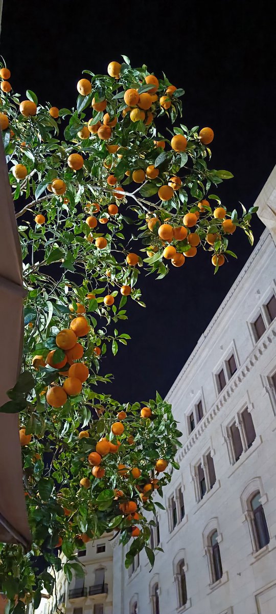 Les boules oranges