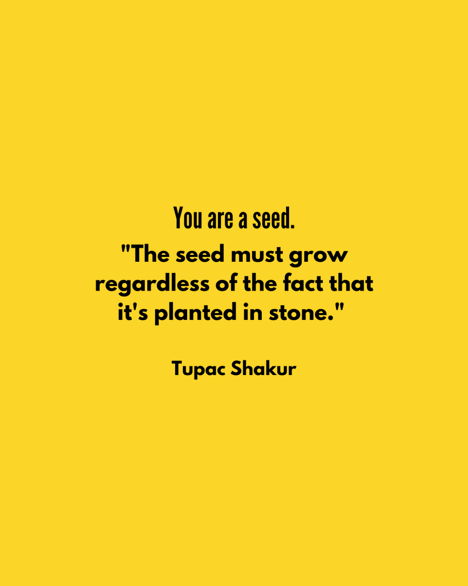 Like a seed pushing through seemingly insurmountable obstacles, personal and transformative growth can emerge from the most adverse conditions. #embracediscomfort #growth #mwod