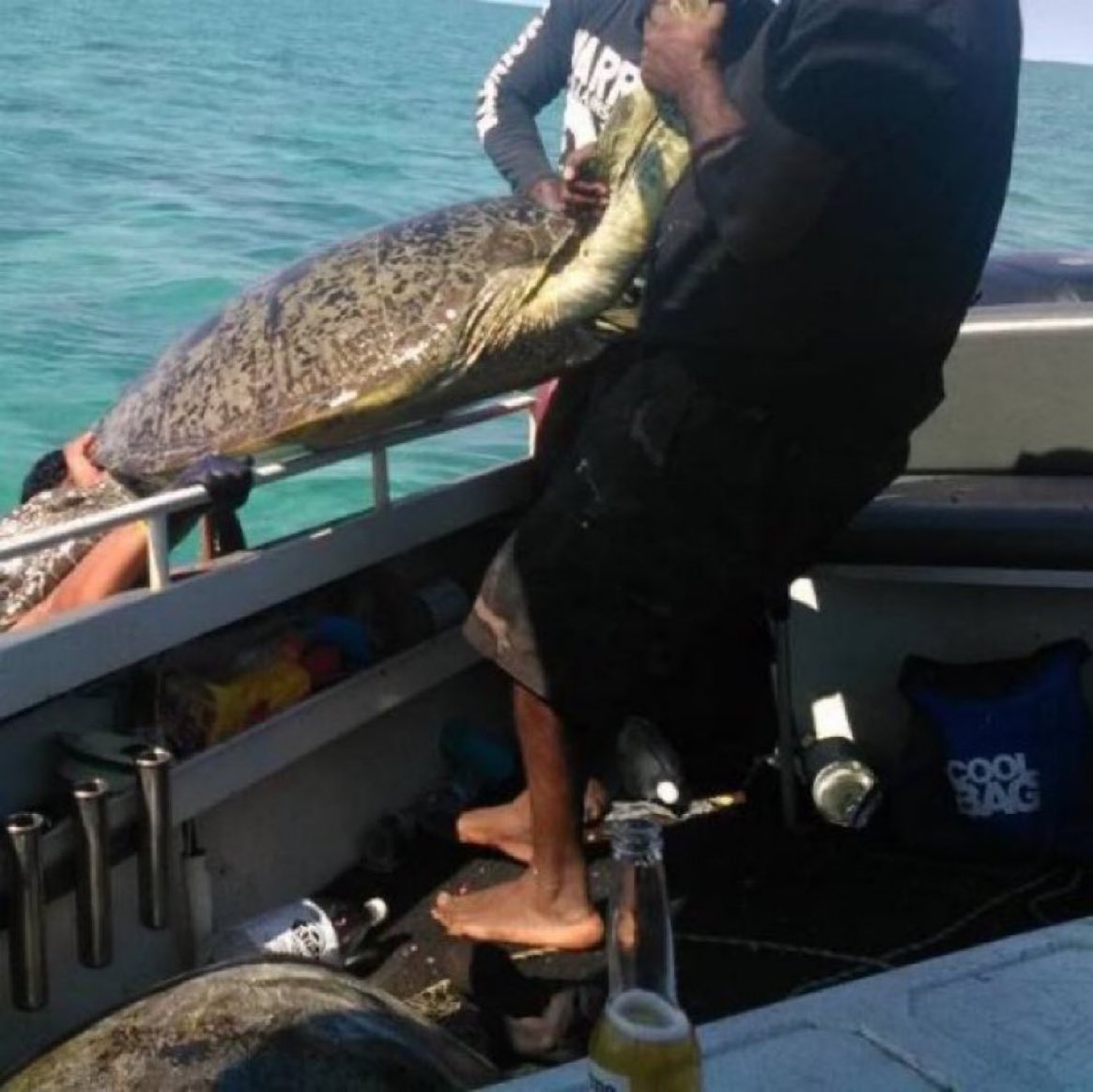 For Pilbersek it is ok for Aboriginal’s to mow down the endangered sea turtle using “traditional” motorboats ….as long as the savages are Aboriginal. Press ❤️ if you had enough