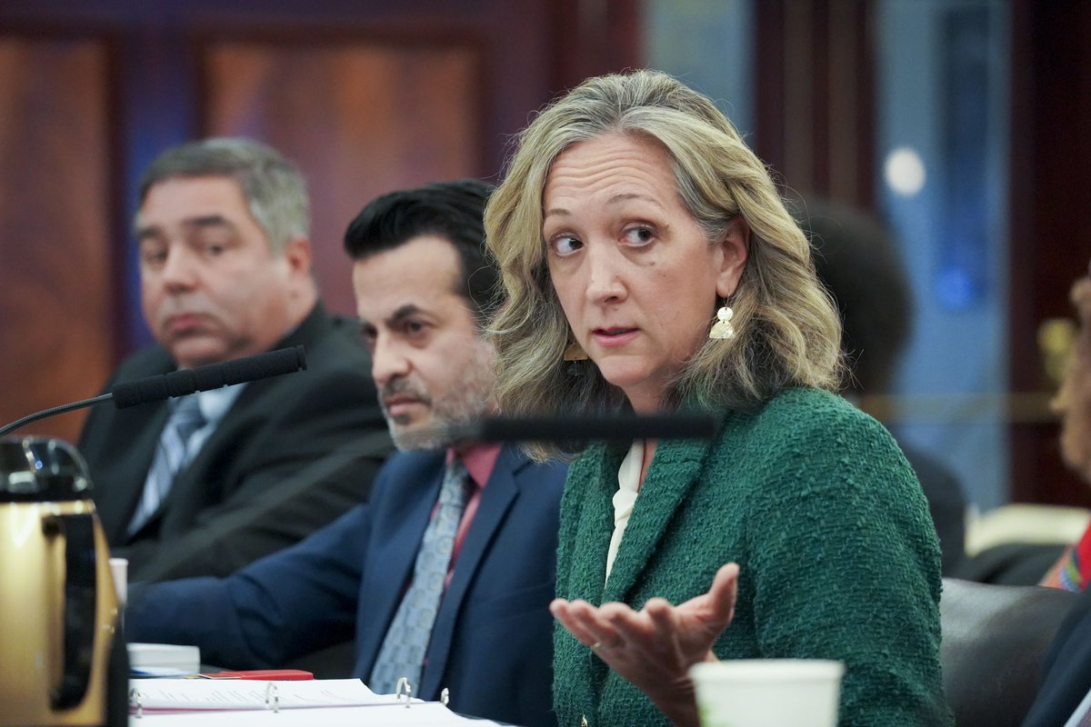 .@CMJulieWon, @JulieMenin, @CMAmandaFarias during joint Contracts/Small Business/Economic Development hearing regarding food procurement for shelters. flickr.com/gp/nyccouncil/…