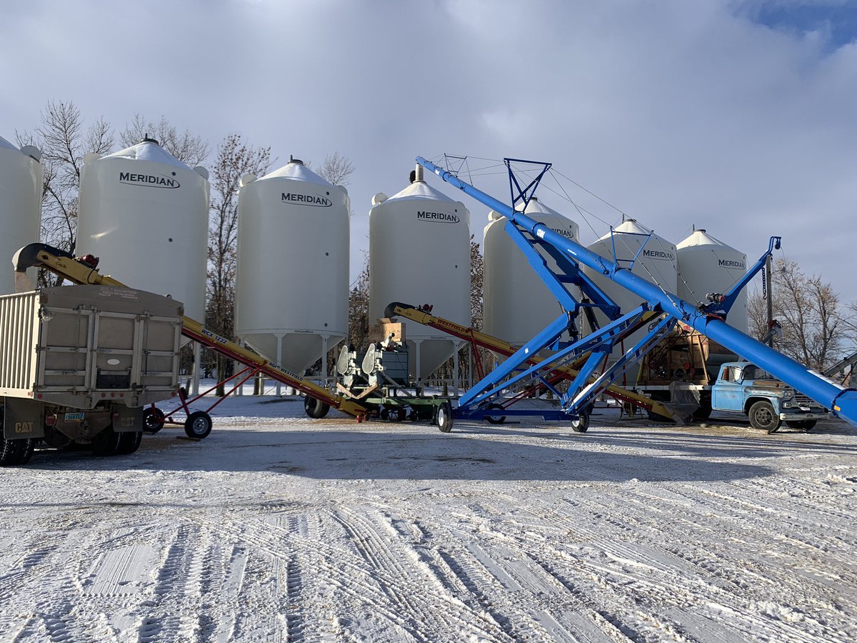 DeAnna Lozensky tweet media