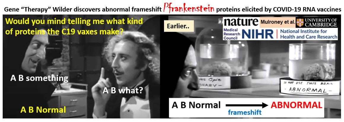 Gene “Therapy” Wilder discovers abnormal frameshift #Pfrankenstein proteins elicited by COVID-19 RNA vaccines. Would you take a vaccine that makes your body produce uncharacterized Pfrankenstein proteins? Where are the studies #FDA, #Pfizer and #Moderna?