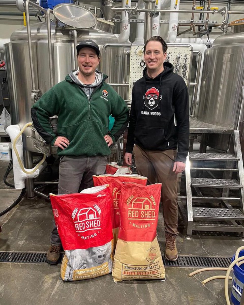 Outstanding in Their Field 🌾 @darkwoodbrewing has switched to using Red Shed as their primary base malt. We couldn’t be more honoured and excited. We work with them and their farmer friend Ryan Layden to custom malt barley to their specifications. instagram.com/p/C0wb6PVLsbk/…