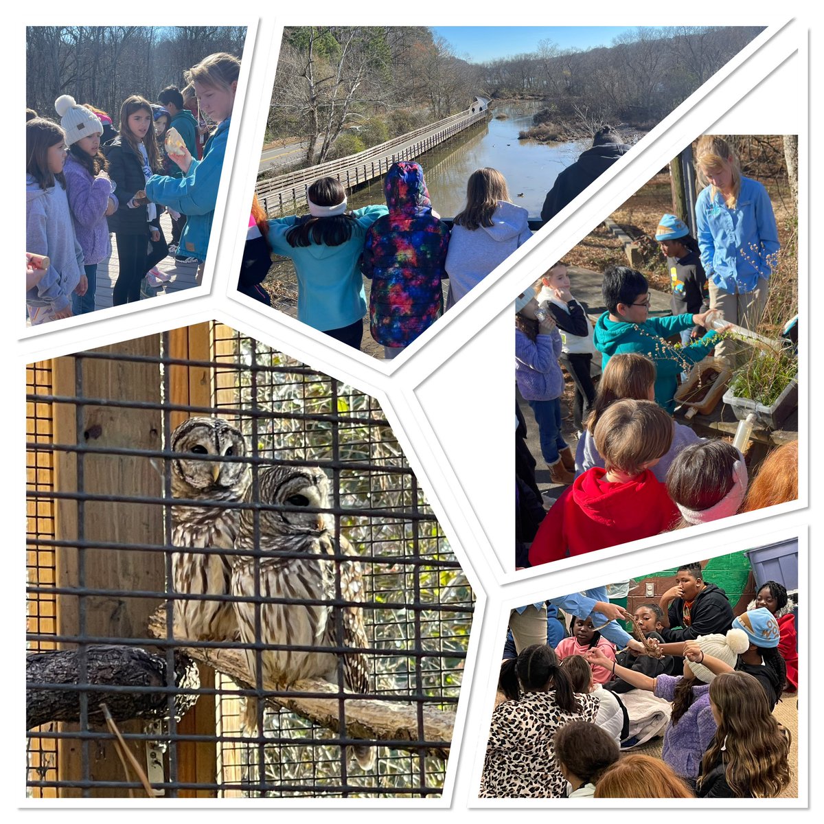 It was a beautiful day for a field trip to the Chattahoochee Nature Center <a href="/ClarkCreekSTEM/">Joey Moss</a>