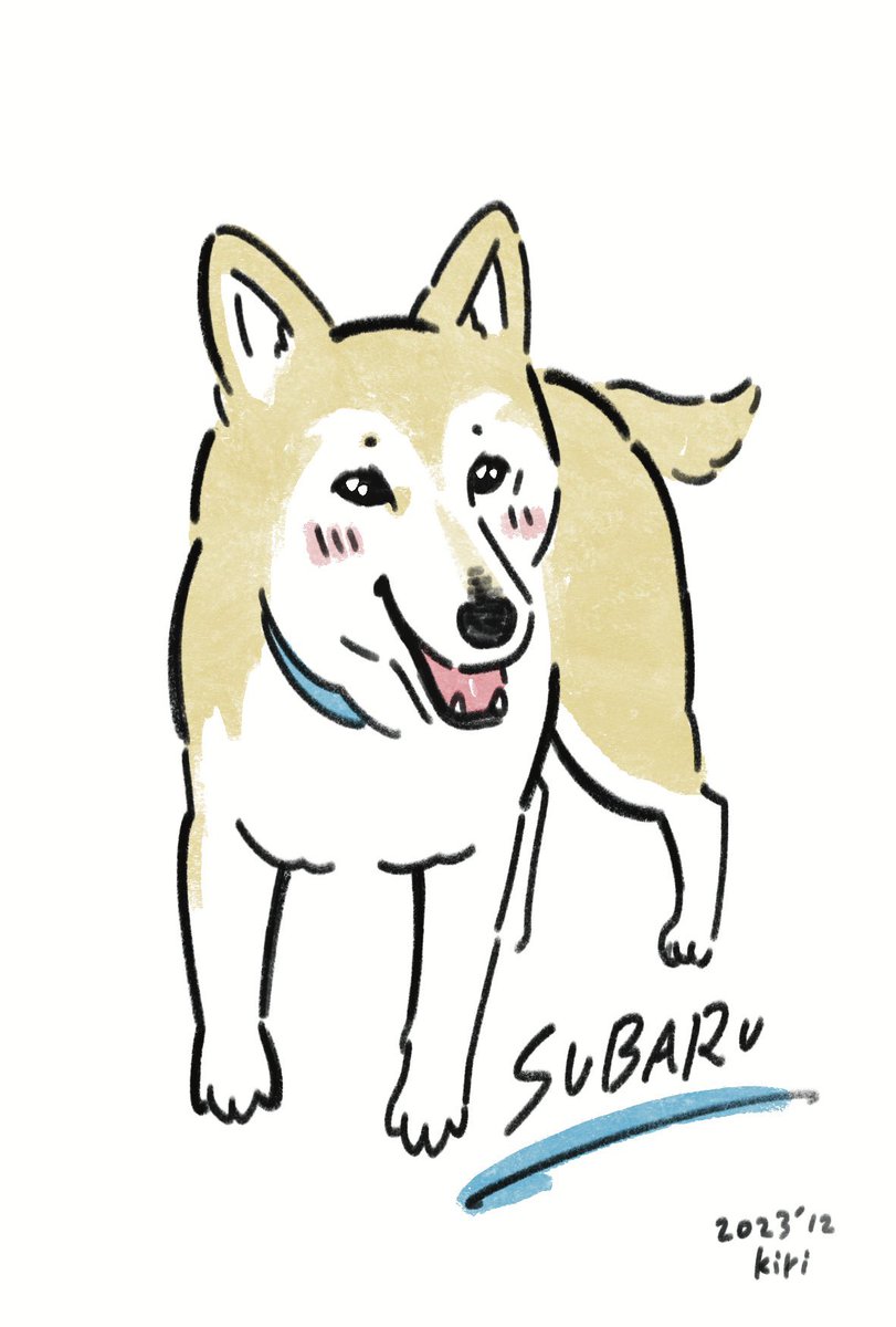 すばるママ tweet media