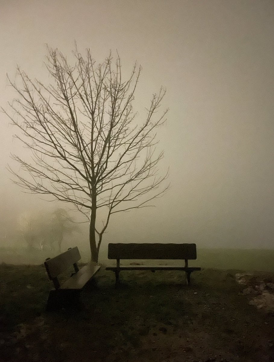 waiting #NaturePhotograhpy #fog #landscapephotography #PictureOfTheDay