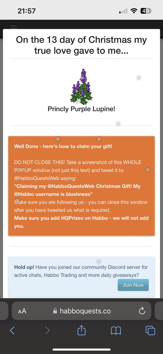 blushixo's tweet photo. "Claiming my @HabboQuestsWeb Christmas Gift! My @Habbo username is blushness" https://t.co/ofu07IZ6tz