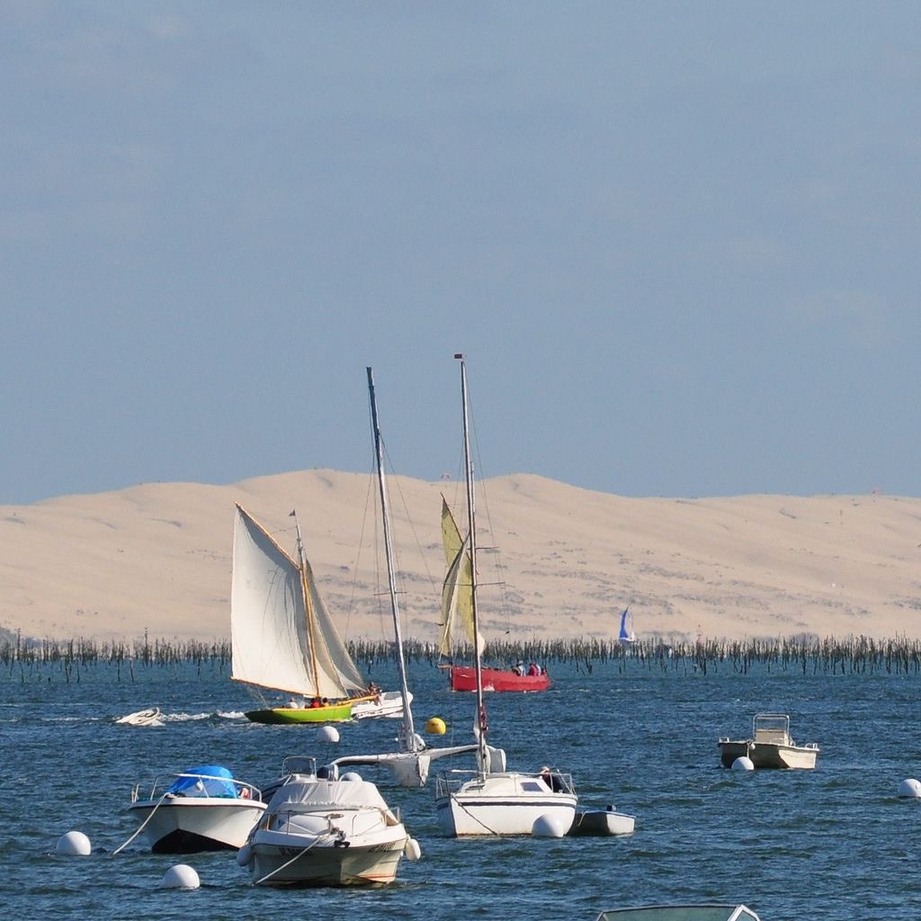 💙💛 Many thanks to You, my friends/followers … for your kind support, your beautiful sharings.. your lovely friendship 😍 Pictures : #CAP_FERRET #DUNE_DU_PILAT #BASSIN_d_ARCACHON #FRANCE very nice to sail here from May to October 💙💛 #DelwennA Pictures : DM for credit 🙏🏼