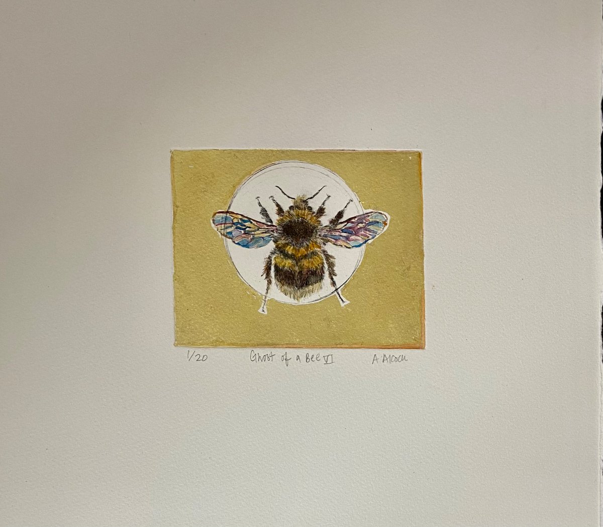 Spent today listening to the rain and finishing off these new bumblebee drypoints. 

GHOST OF A BEE VI
Drypoint hand coloured with watercolour and gold leaf 
Variable Edition: 1/20 
Paper size:31x27.5cm
Image size:10x12cm
£150

#bees #prints #bumblebee #unique #shoplocal