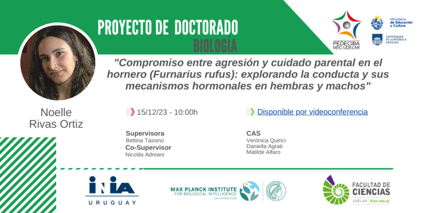 Un fin de año cargado de importantes hitos en la vida académica de queridas jóvenes investigadoras! 

Noelle Rivas defiende su  proyecto de doctorado <a href="/PedecibaB/">PEDECIBA - Biología</a> que supervisaremos junto a <a href="/NMadreani/">Nico M. Adreani</a> de <a href="/nidohorneros/">HORNERO 🐥🤳🏽</a> y gran equipo!
 
<a href="/FcienUdelar/">Facultad de Ciencias</a> <a href="/CapPosgrados/">Comisión Académica de Posgrado - Udelar</a> <a href="/MPIforBI/">MPI for Biological Intelligence</a> <a href="/INIA_UY/">INIA URUGUAY</a>