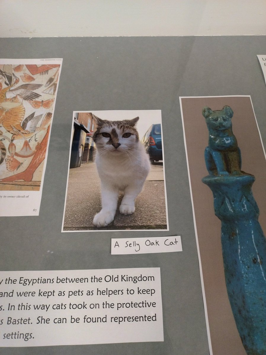 Our <a href="/CAHA_UoB/">CAHA UoB</a> students have curated six stunning exhibitions with objects from <a href="/EtonMyersColl/">The Eton Myers Collection UoB</a> this term. How amazing are these? Don't worry if you missed our open day today, the displays will still be up in January!