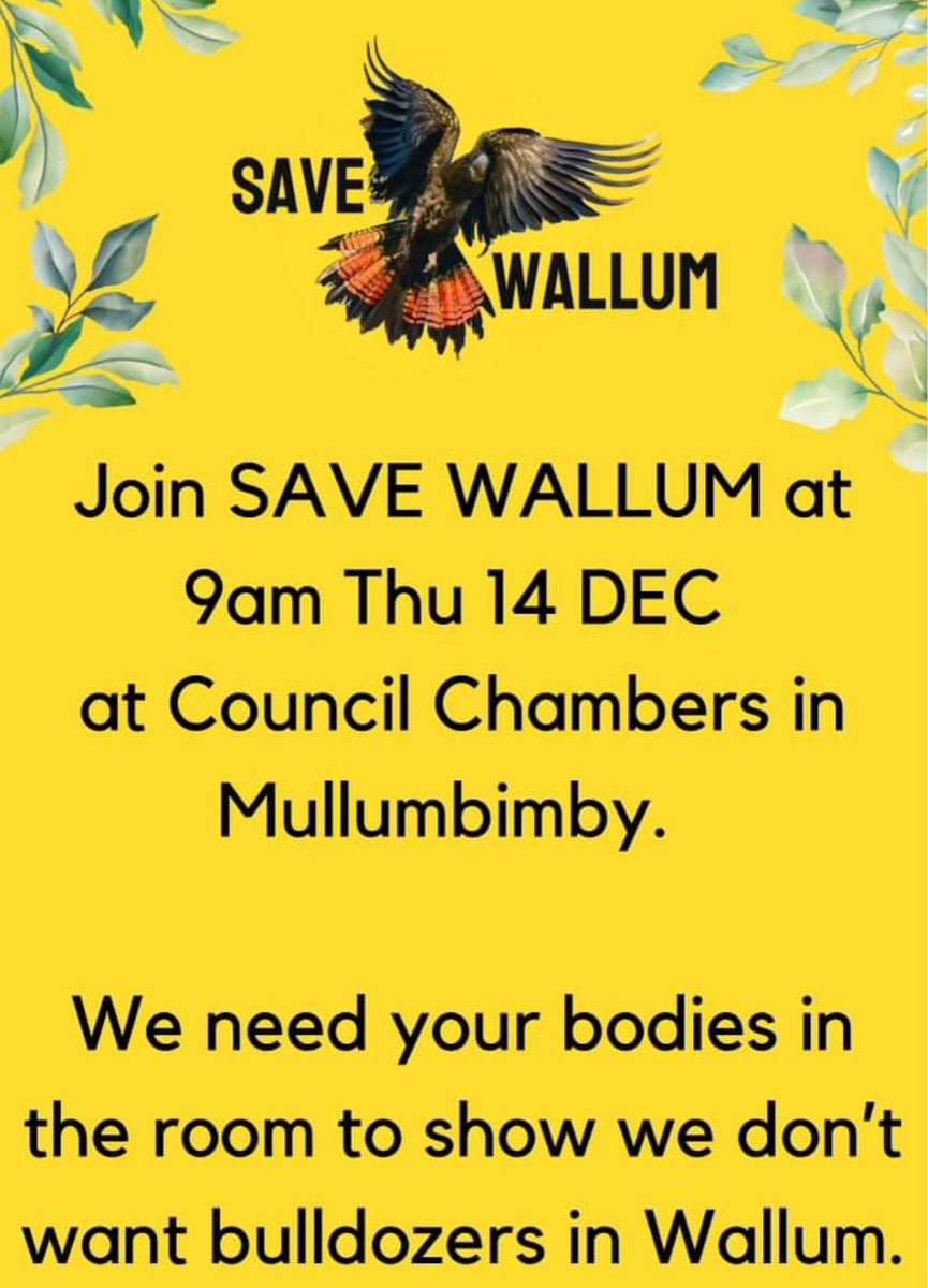 For anyone up that way #Mullumbimby #Wallum #BrunswickHeads