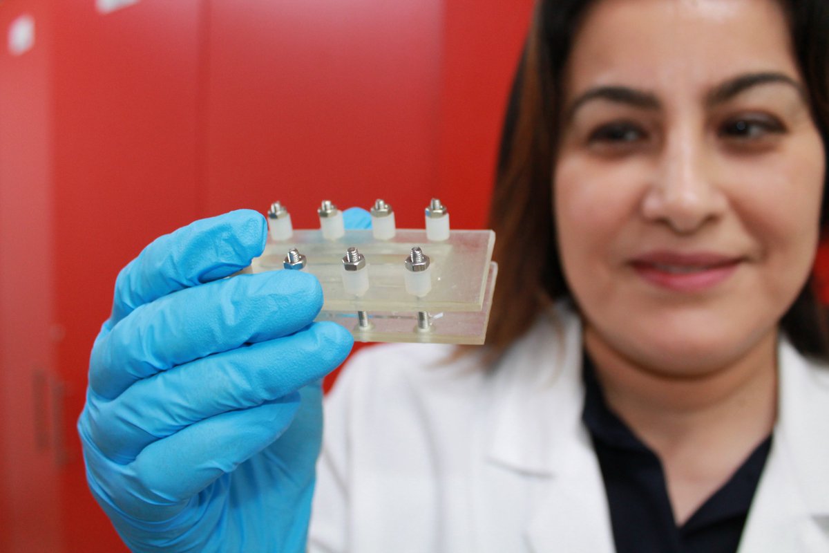 🔬@BakerResearchAu @RMIT and @UniMelb say an organ-on-a-chip model can help unlock answers to vascular ageing scimex.org/newsfeed/organ…