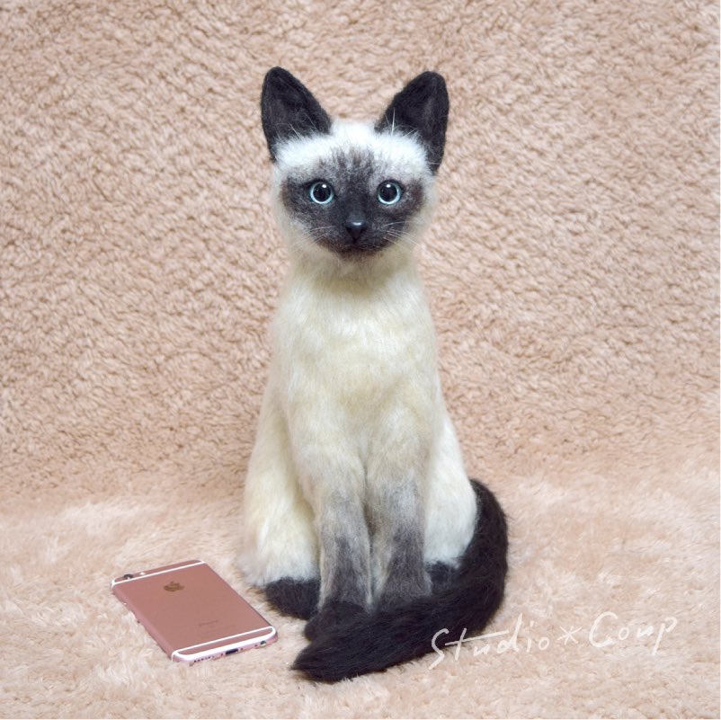 studio_coup's tweet photo. シャム猫さんを
作らせていただきました🐱
#羊毛フェルト #ニードルフェルト #handcraft #シャム猫 #felt #feltingneedle #felting #子猫 #ねこ #animalart #ココナラ
#catsofinstagram #catphotography #meoued #dailykitten #catstagram #cat #catlovers #catractive #cats_of_world https://t.co/hbcdcwBKIs