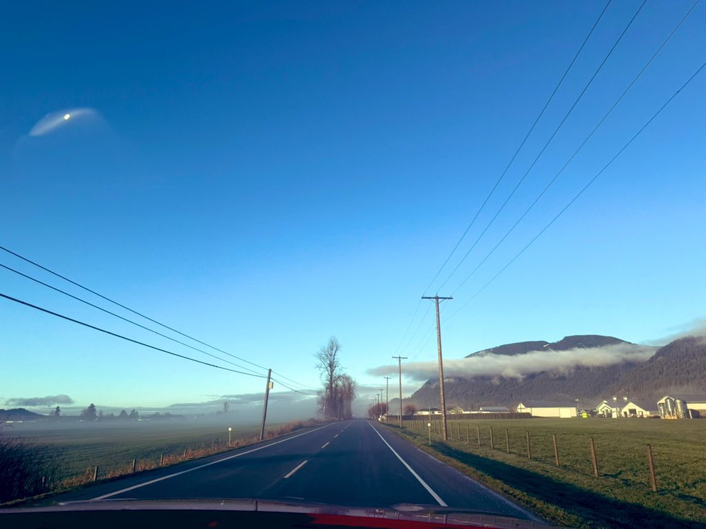 Those long winding tree lined roads
As if telling a story…
Those low clouds 
As if coming down to talk…
#BeautifulBC 
#NaturalBeauty