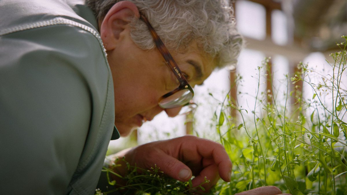 Catapult Film Fund (@catapultfilmfnd) on Twitter photo Today's #GranteeSpotlight is PLANT LIFE (dir/prods. Brett Marty & <a href="/joshuaizenberg/">Josh Izenberg</a>)
Learn more: buff.ly/3REpCDL
#DocumentaryFilm #NowFundThis Today's #GranteeSpotlight is PLANT LIFE (dir/prods. Brett Marty & <a href="/joshuaizenberg/">Josh Izenberg</a>)
Learn more: buff.ly/3REpCDL
#DocumentaryFilm #NowFundThis