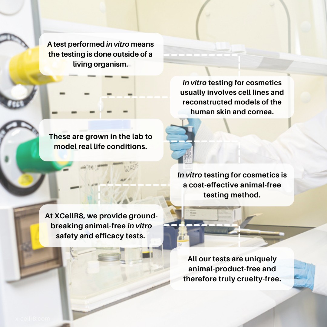 📷 So what actually is in vitro testing for cosmetics 📷

#invitrotesting #cosmeticstesting #animalfreetesting #nonanimaltesting #betterscience
#theprocessofanimaltestinghasneverbeenscientificallyvalidated
@CBUK10 @cbuk22 @ArtCBUK