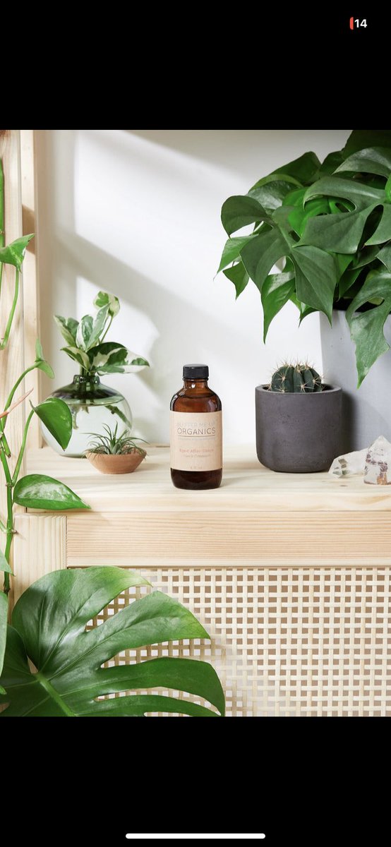 Key to growing that beard without it being patchy king…