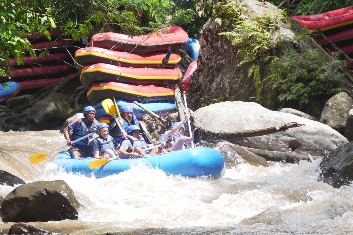 Rache Goodenough tweet media