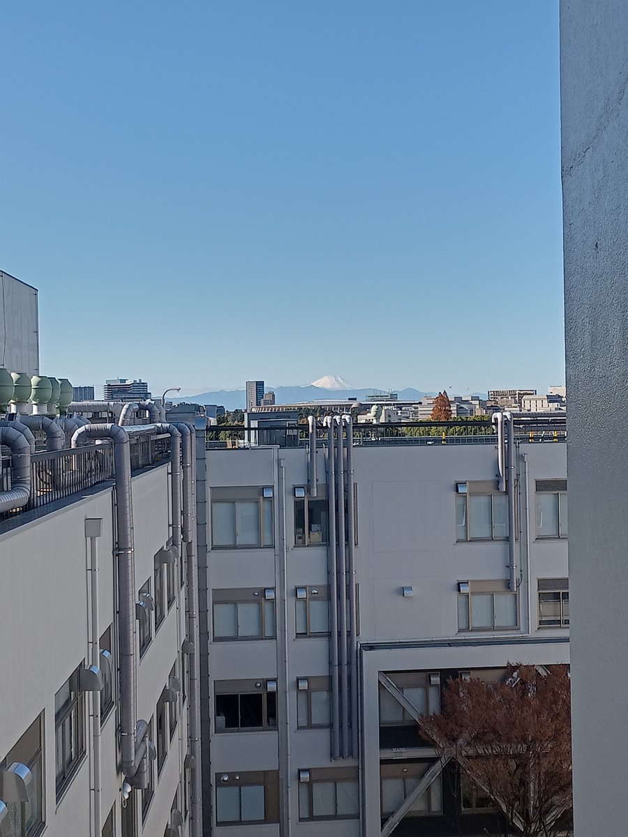 Mount Fuji seen from the @SophiaBiophys floor.