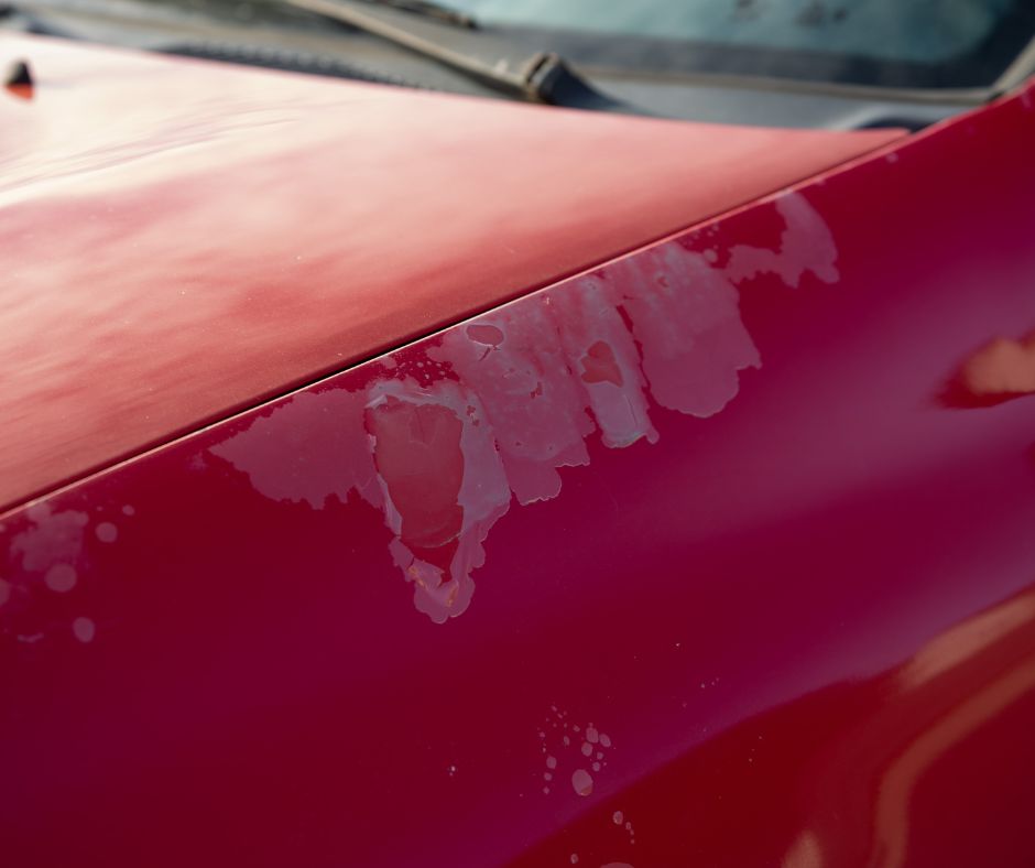 directcollision's tweet image. Got paint problems? Here are the DOS and the DON&apos;Ts of caring for your car&apos;s exterior paint. Hint: Stay away from the birds. bit.ly/3ThmOO4