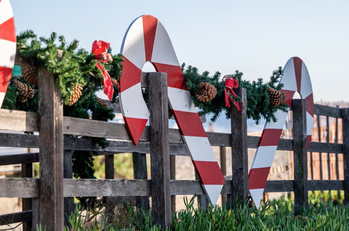 It's the most wonderful time of the year at the Cove! 

📸 : @tad_photography_

📸 : <a href="/snaplifephoto/">SnapLife Photography</a>

📸 : @christopherlauni11