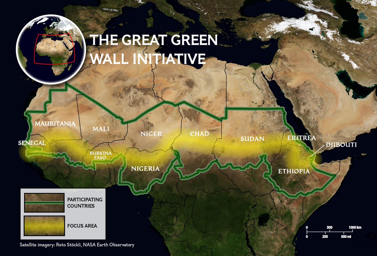 Over 20 countries in Africa joined to plant a wall of trees that stretches 8,000km long. ‘The Great Green Wall’ hopes to tackle the impacts of climate change and biodiversity loss. education.nationalgeographic.org/resource/great…