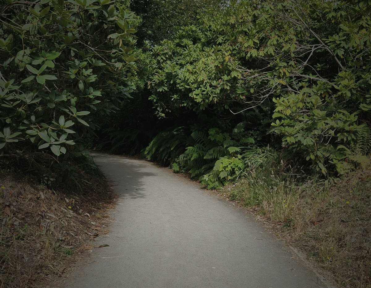 EarenCoivienen's tweet image. Ya nauva, nauva. Ya nauva nauva.
I cenie apaluméva lá martolvosse.
Ya nauva, nauva. Ya nauva nauva.

Que sera, sera; whatever will be, will be
The future&apos;s not ours to see
Que sera, sera; what will be, will be

#Quenya #WhateverWillBe #DorisDay #fate