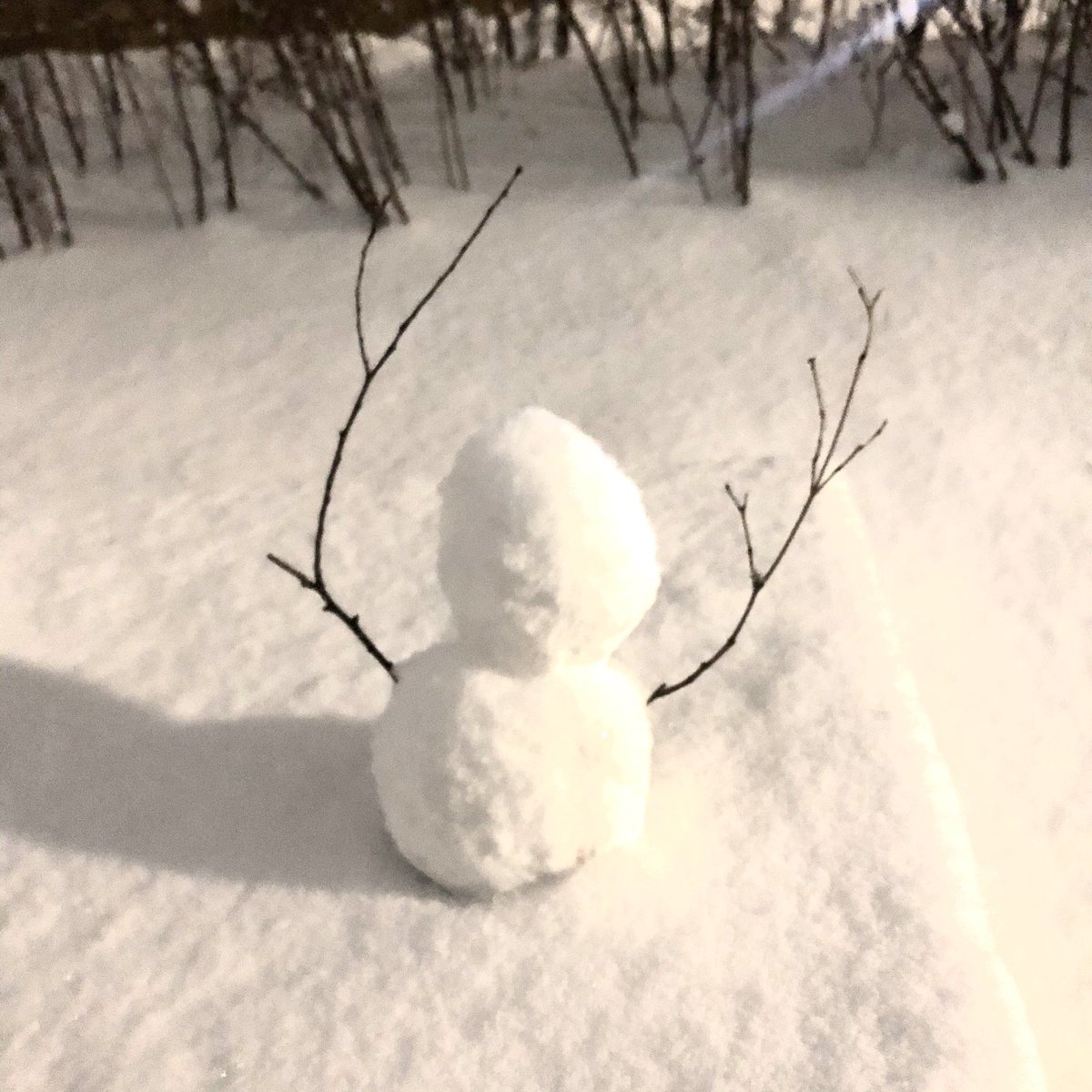 아톰 (@freelifeenjel) on Twitter photo 