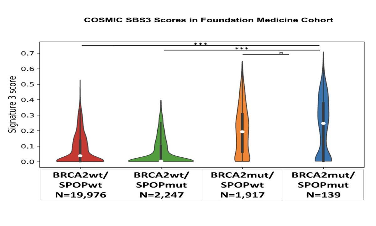 Prostate cancers with combined BRCA2 and SPOP mutations have greater homologous repair deficiency and increased sensitivity to PARP inhibitors. This is a clinically actionable patient subset! Congrats to our collaborators from 13 centers. sciencedirect.com/science/articl…