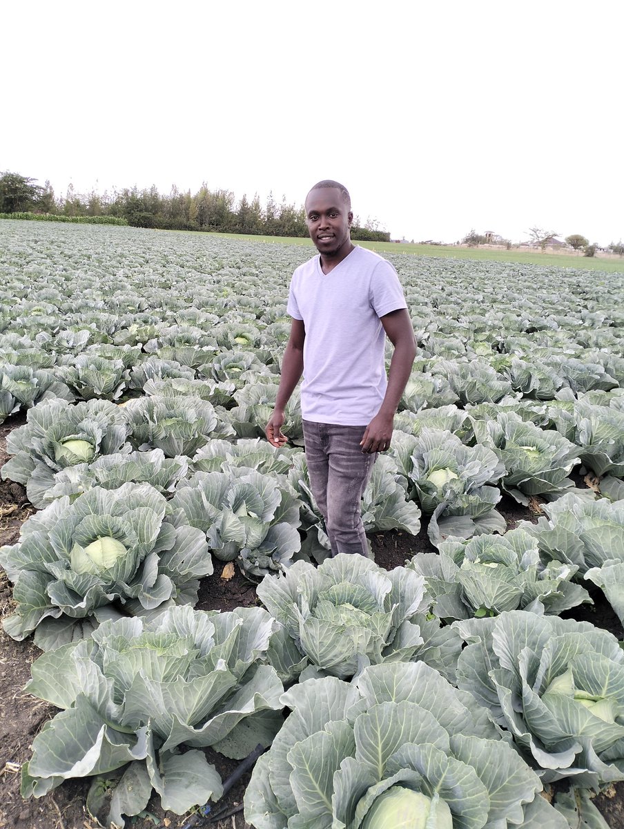 Good morning? I know a big number here is interested in venturing into farming because of a success story they heard or read somewhere. 

Remember, #farming is more than just a payday – it requires passion, money, and skill. Let's discuss the realities before you dig in!