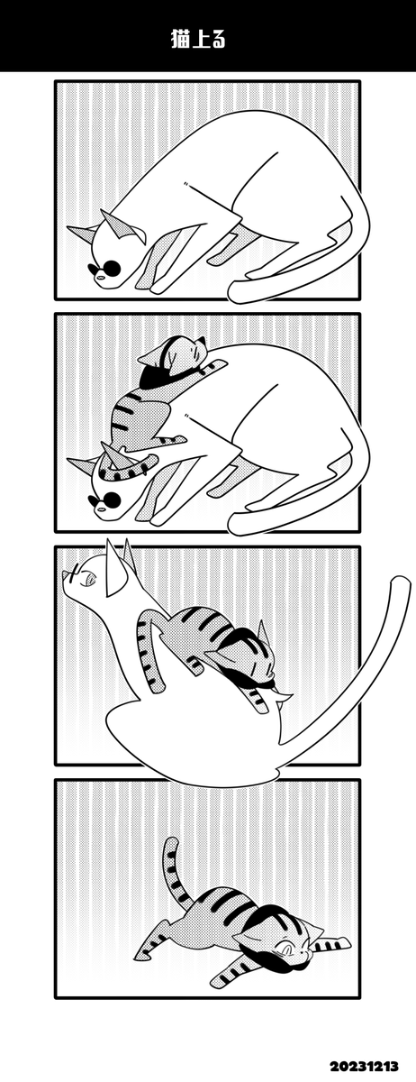 🐱五悠