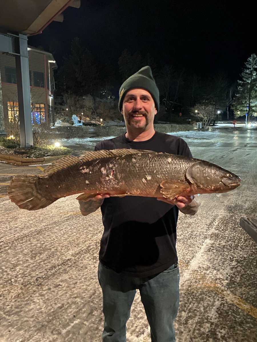 leaf308's tweet image. Tied the Minnesota bowfin record tonight