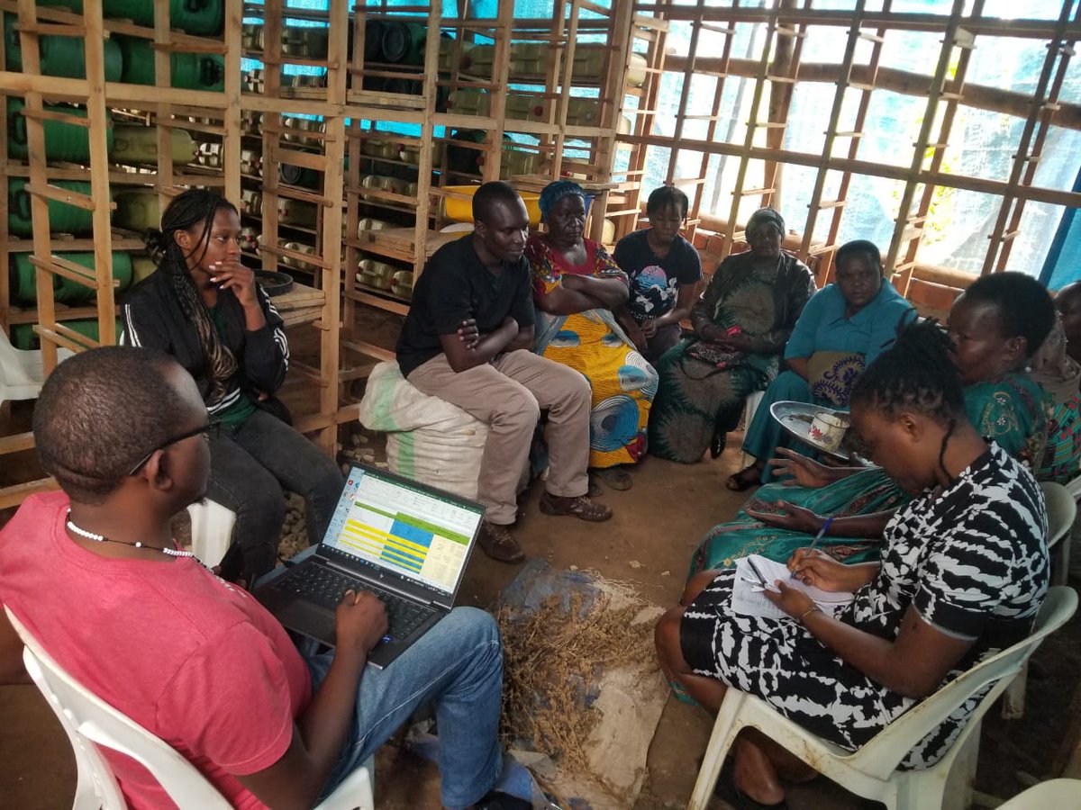 Mityana women maize farmers' cooperative society limited had a soft launch of the black soldier fly larvae (BFSL) business pilot phase at Katiti BFSL breeding center  funded by women's bank from Finland with support from @fca_uganda