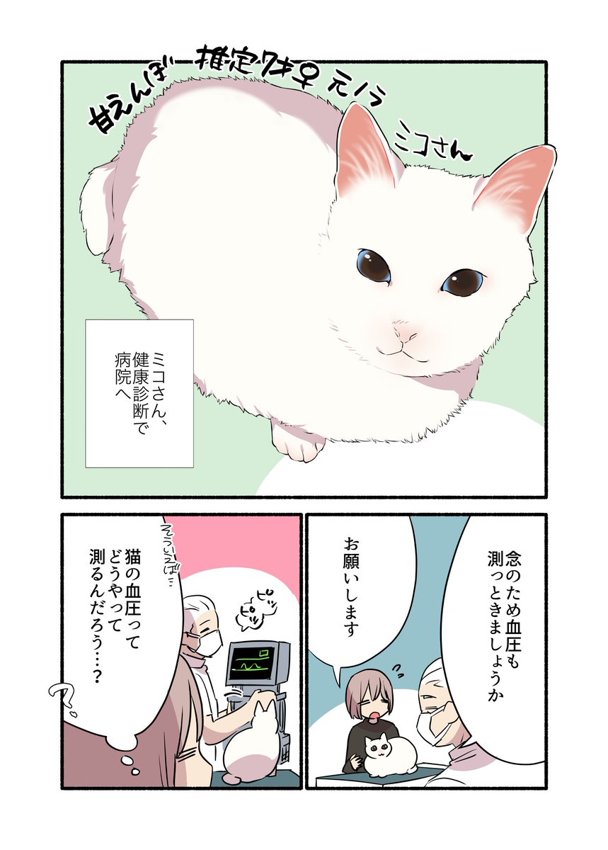 猫の血圧測ったらとんでもないことが判明した話(1/2)
 #愛されたがりの白猫ミコさん
 #漫画が読めるハッシュタグ 